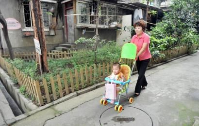 轄區(qū)單位出資，居民們主動(dòng)維護(hù)，同善橋橫街8號(hào)院的綠化越來(lái)越好。